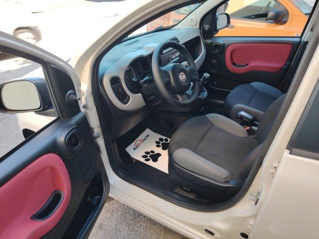FIAT Panda 1.2 EasyPower Easy PREZZO REALE - NEOPATENTATI