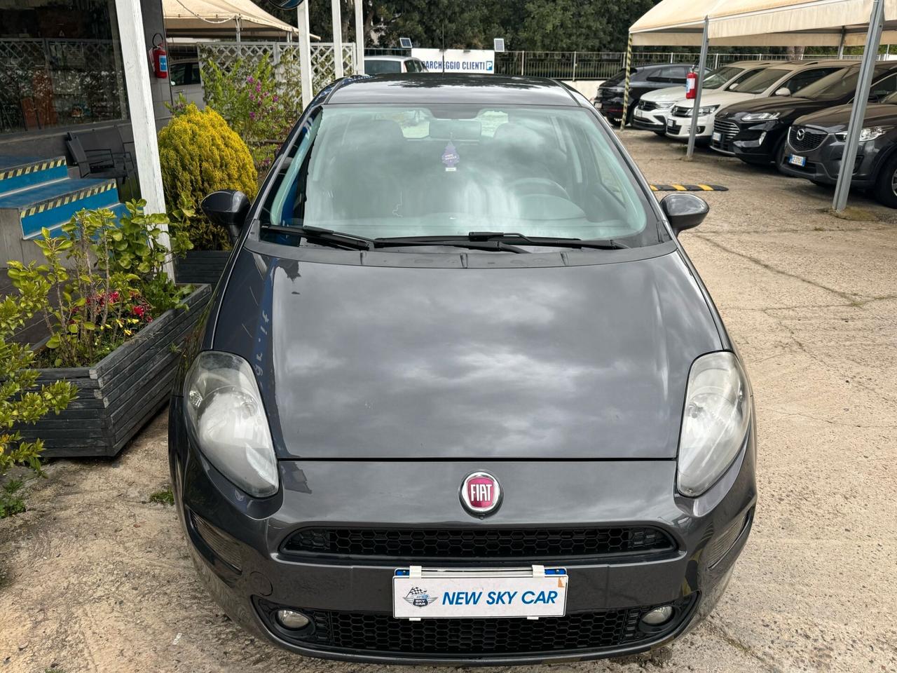 Fiat Punto 1.3 MJT II S&S 85 CV 5p. ECO Lounge