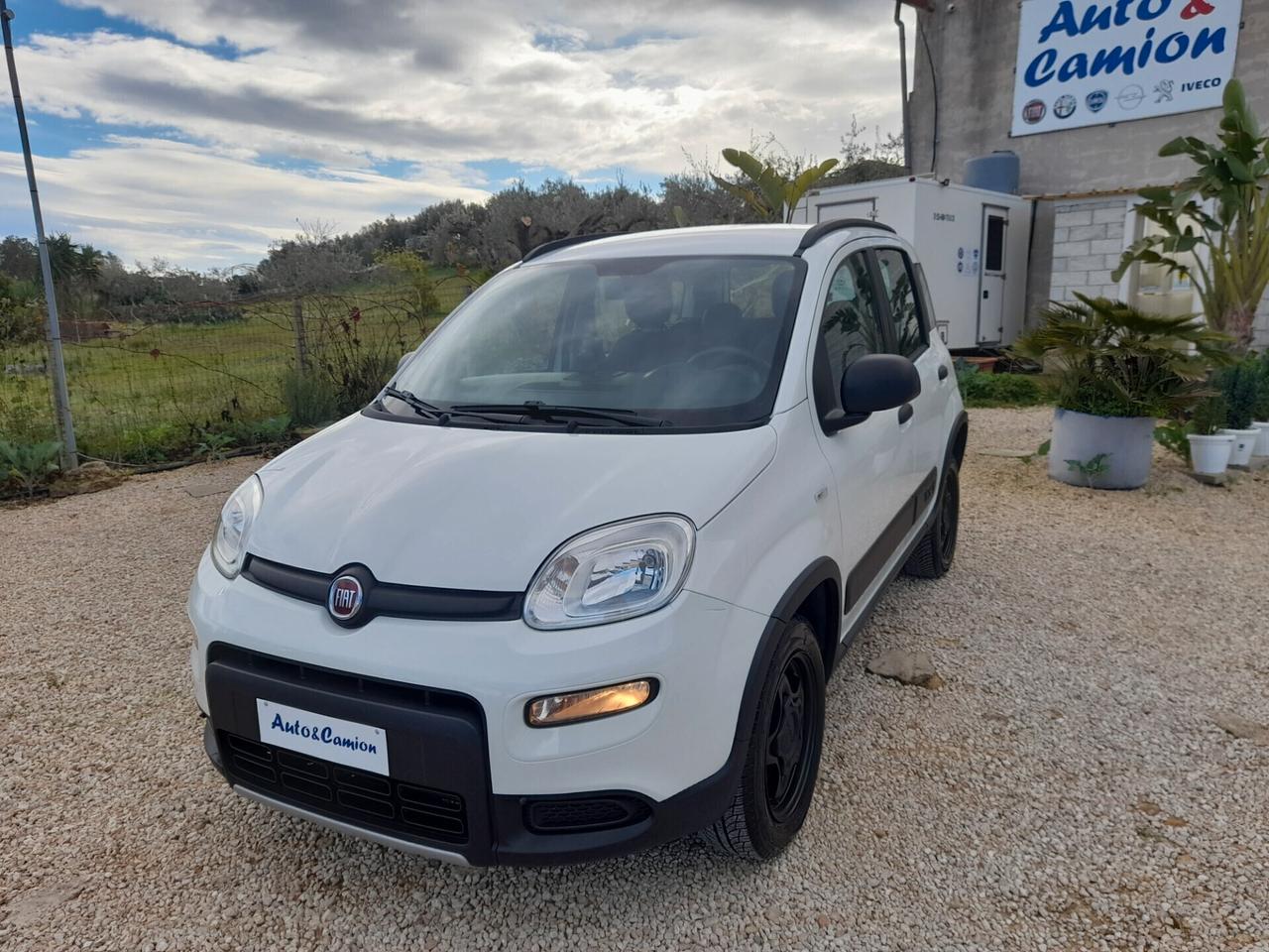 Fiat Panda 0.9 TwinAir Turbo S&S 4x4 anno 2019