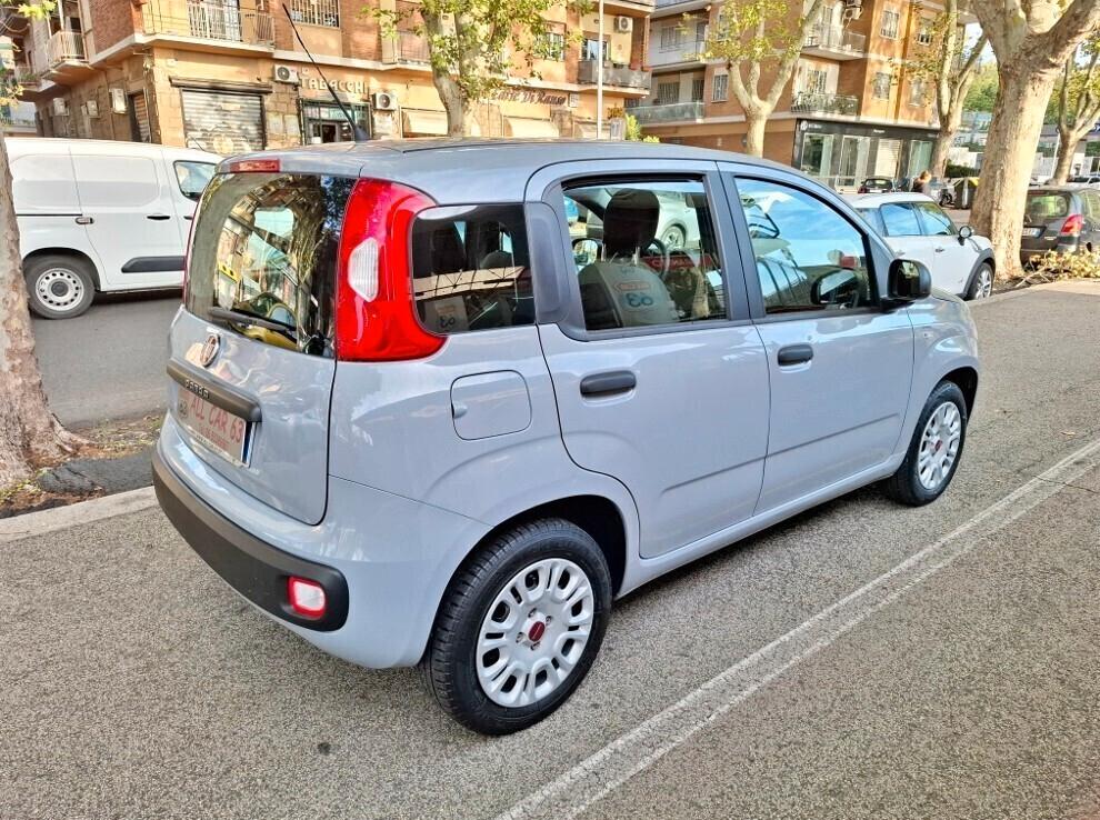 Fiat Panda 1.2 PREZZO VERO UNIPRO' DISTRIBUZIONE NEW