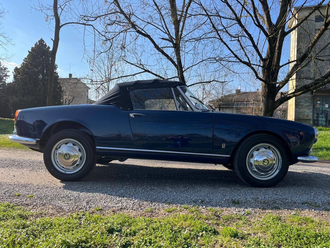 Alfa Romeo Giulia Spider