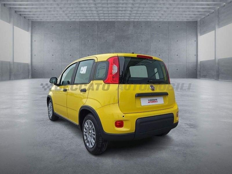 FIAT Panda 1.0 70cv Hybrid Panda