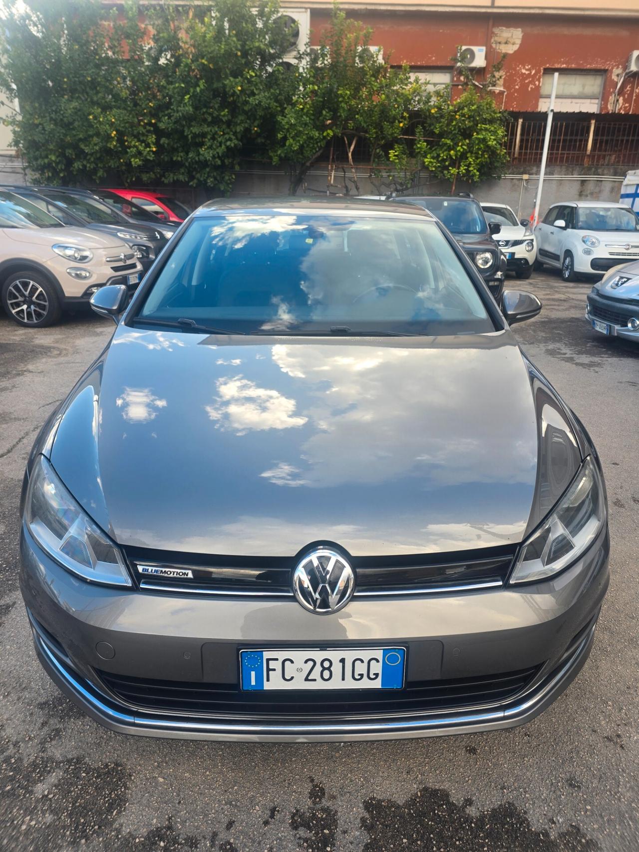 Volkswagen Golf 1.4 TGI 5p. Highline BlueMotion