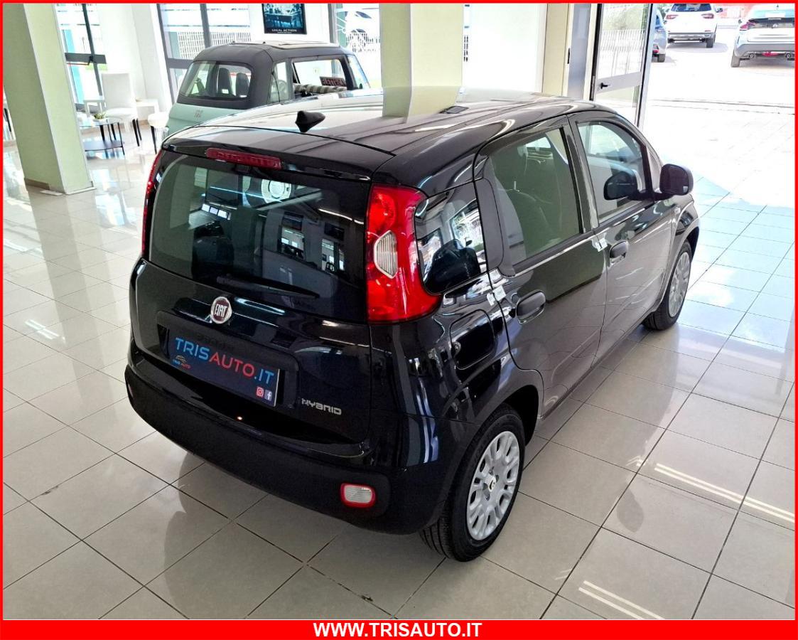 FIAT Panda 1.0 FireFly S&S Hybrid NEOPATENTATI