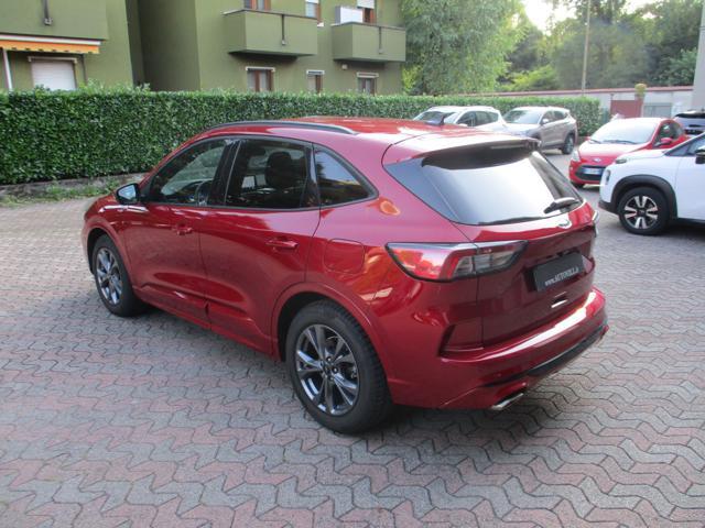 FORD Kuga 1.5 EcoBoost 150 CV 2WD ST-Line X