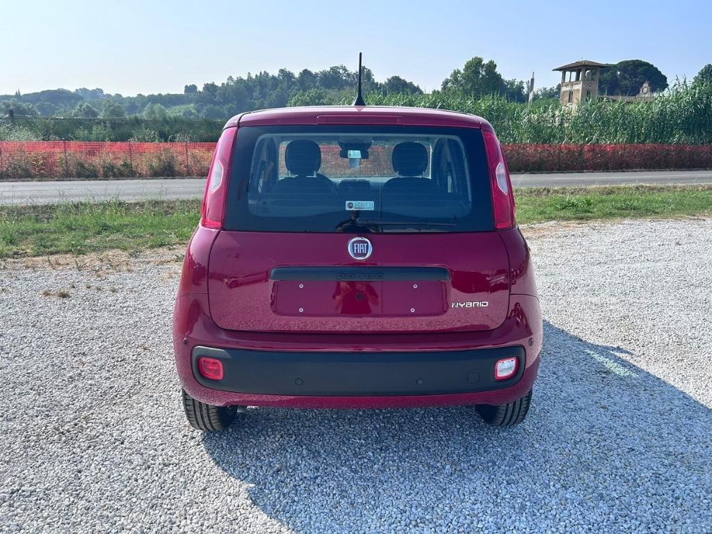 FIAT Panda My25 1.0 70cv Hybrid Panda