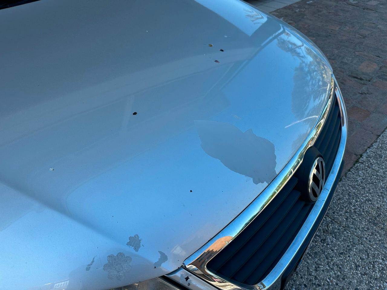 Volkswagen Passat 1.9 TDI/105CV DPF Var. BlueMotion