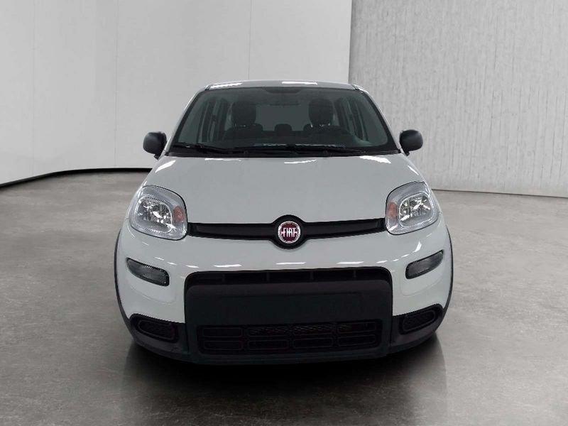FIAT Panda 1.0 firefly hybrid s&s 70cv 5p.ti