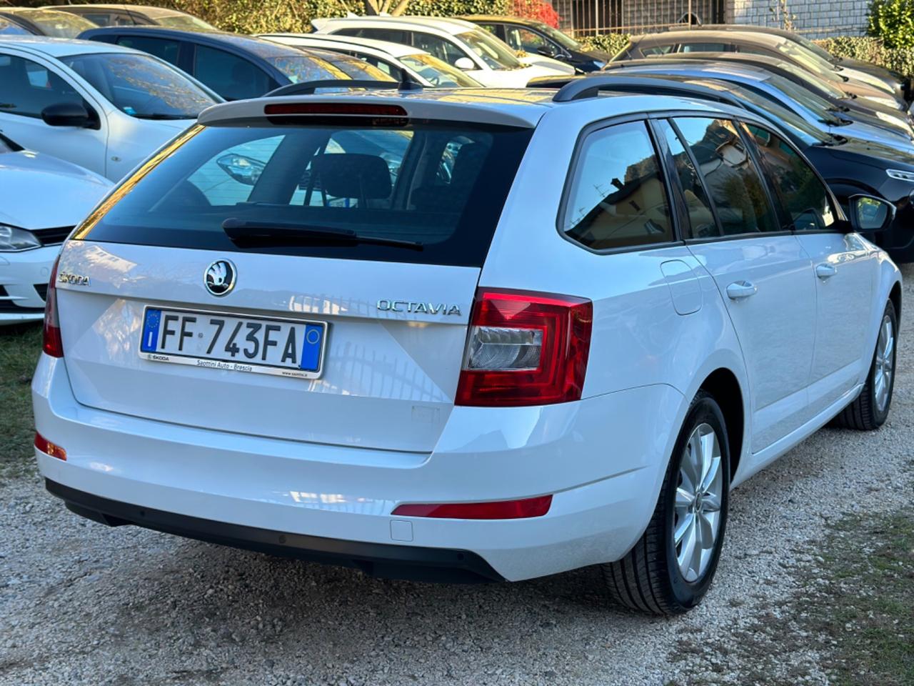 Skoda OCTAVIA 1.6 TDI CR 110 CV DSG OTTIME CONDIZIONI