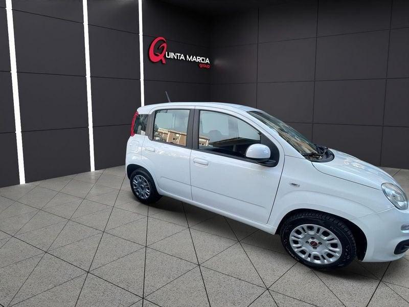 FIAT Panda 1.2 69 CV EasyPower GPL (29-24)