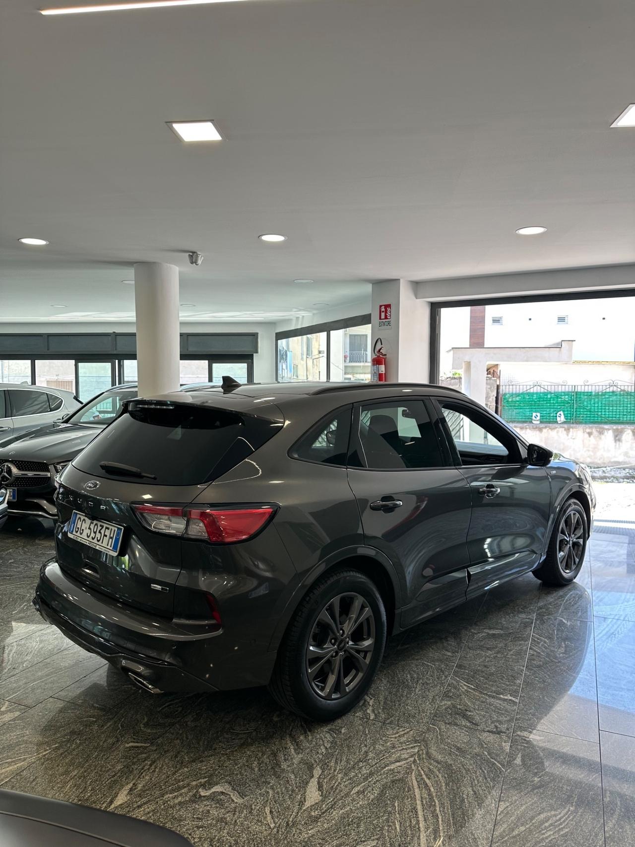Ford Kuga 2.0 EcoBlue Hybrid 150 CV 2WD ST-Line