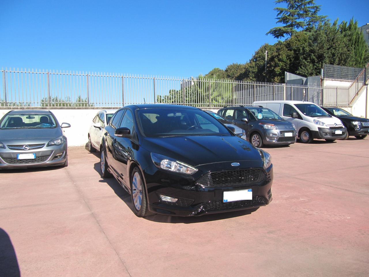 Ford Focus 1.5 TDCi 120 CV Start&Stop ST Line