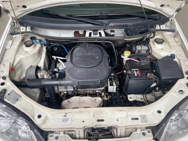 FIAT Punto 1.2 5 porte Active
