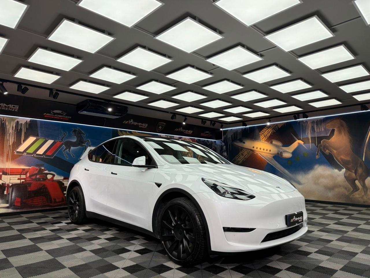 Tesla Model Y Long Range AWD (634)