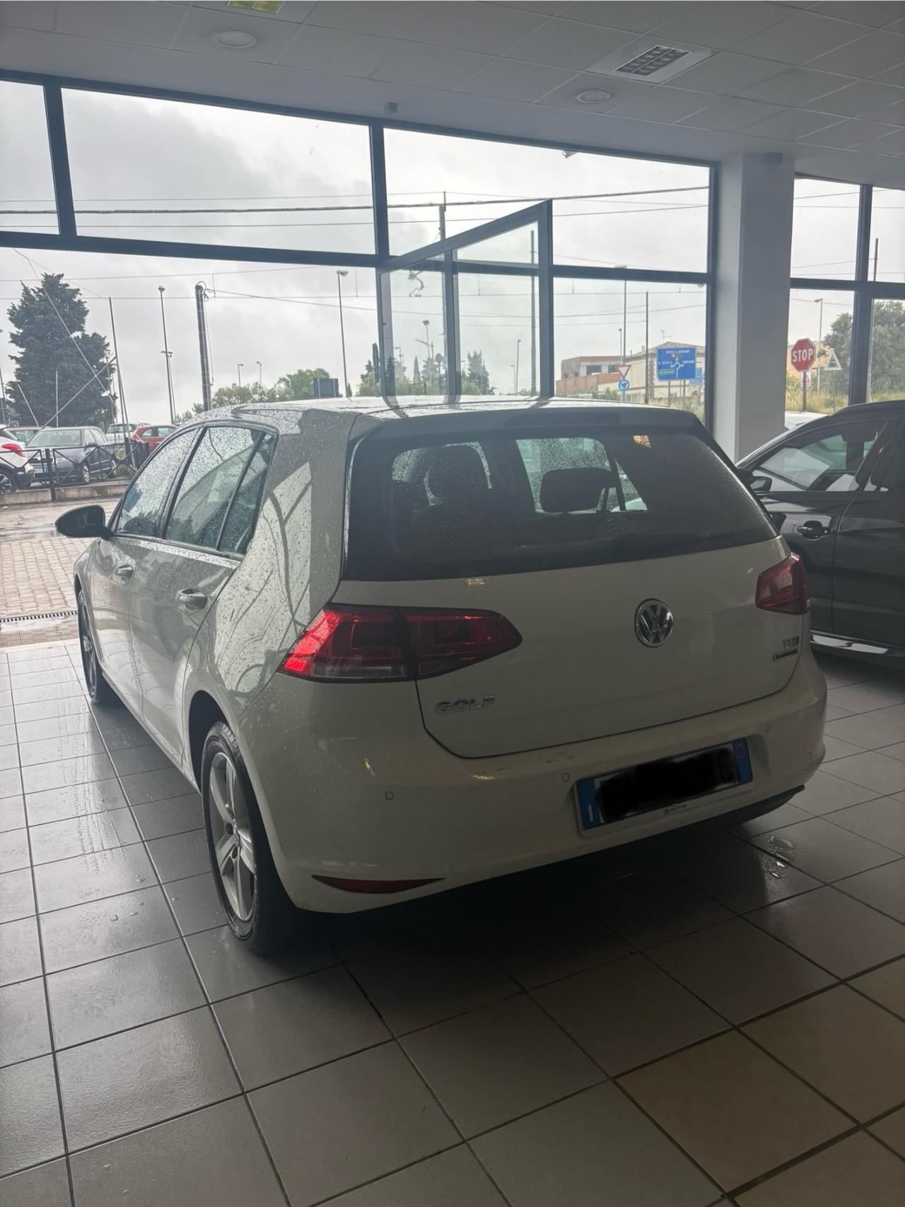 Volkswagen Golf 1.4 TGI 5p. Executive BlueMotion