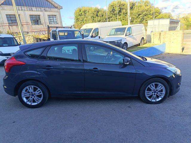 FORD Focus 1.6 TDCi 115 CV