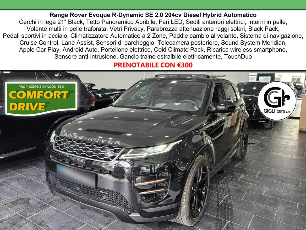 Land Rover Range Rover Evoque R-Dynamic C.20 Navi BlackPack Tetto Camera RDynami