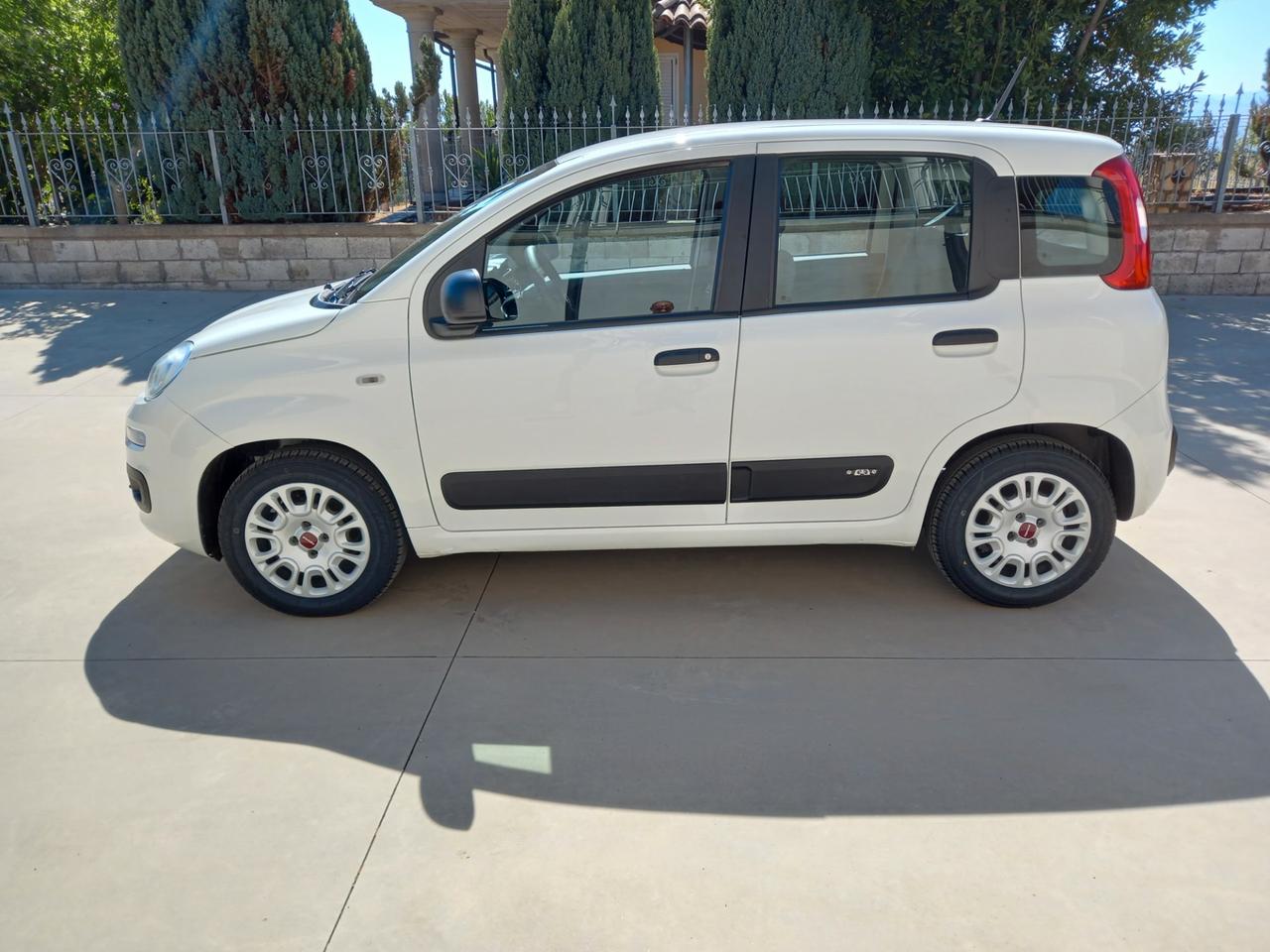 Fiat Panda 1.2 BENZ/GPL2020(IN SEDE YPSILON PANDA 4X4)