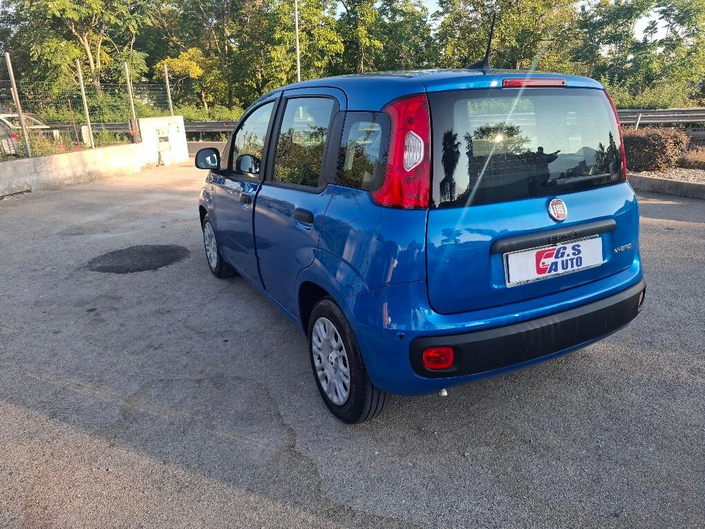 Fiat Panda Pandina 1.0 FireFly 65 CV Hybrid Icon