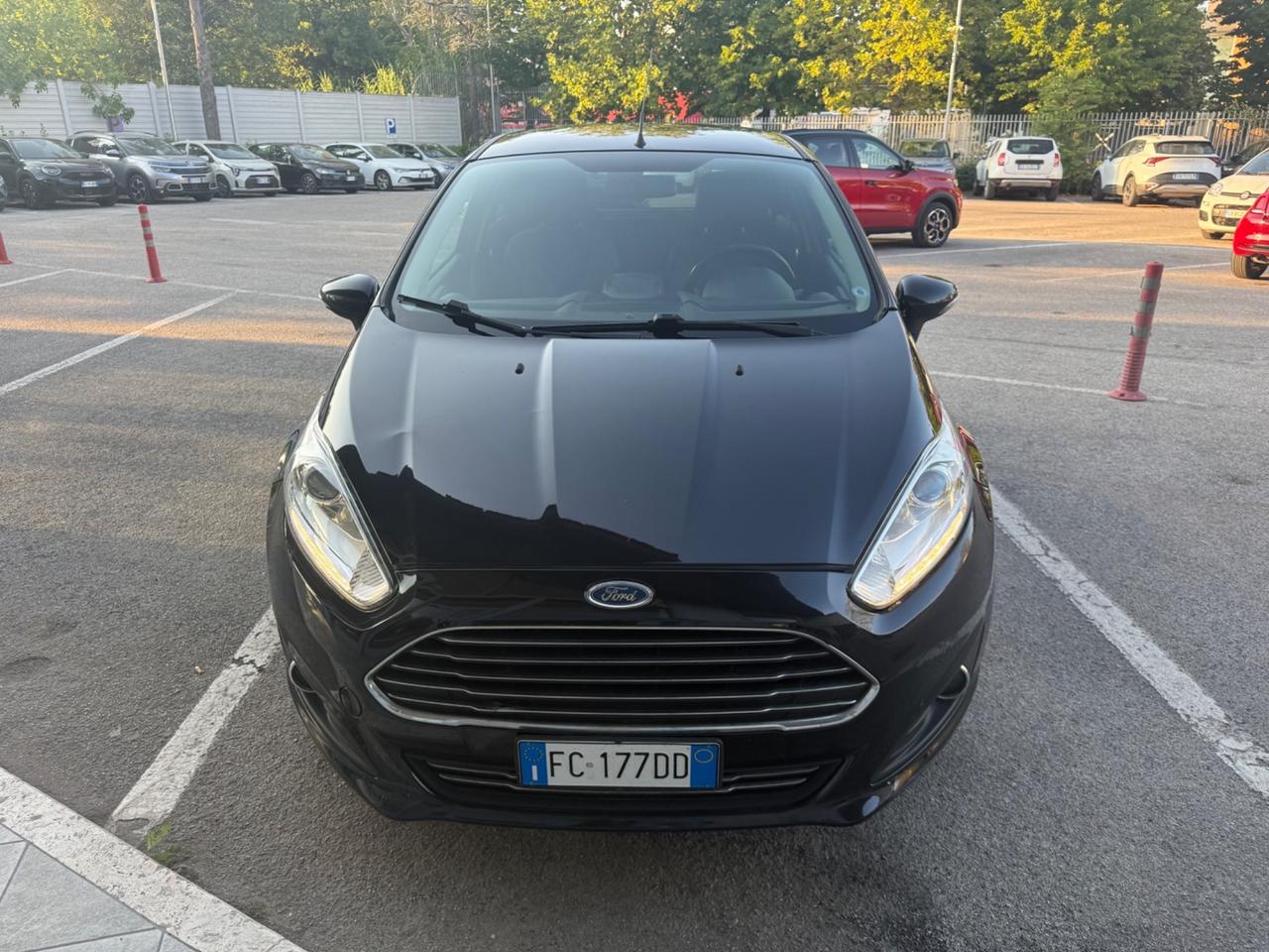Ford Fiesta 1.5 TDCi 95CV 5 porte Black& White Edition