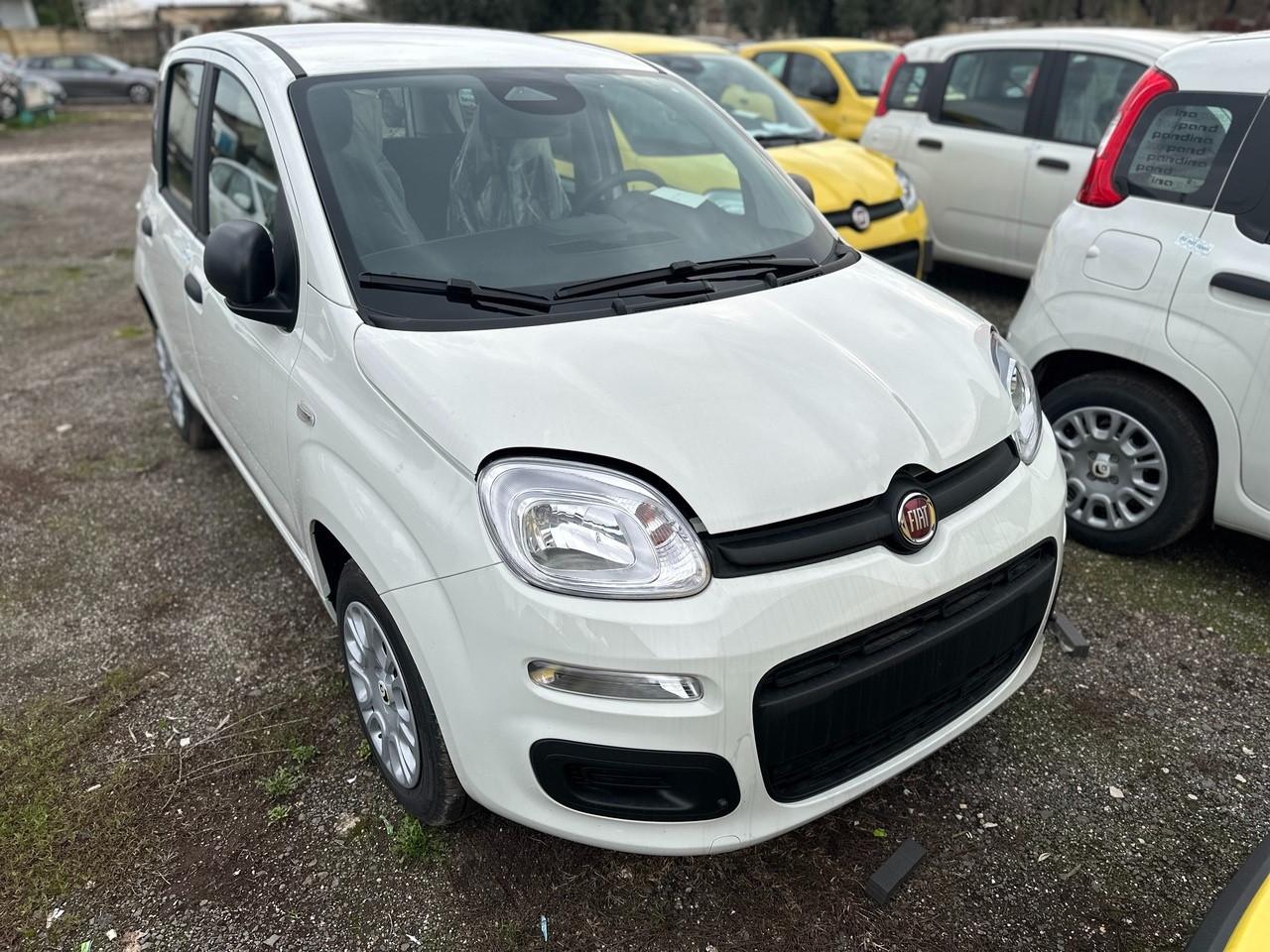 FIAT Pandina III 2024 - Pandina 1.0 firefly hybrid s&s 70cv 5p.ti
