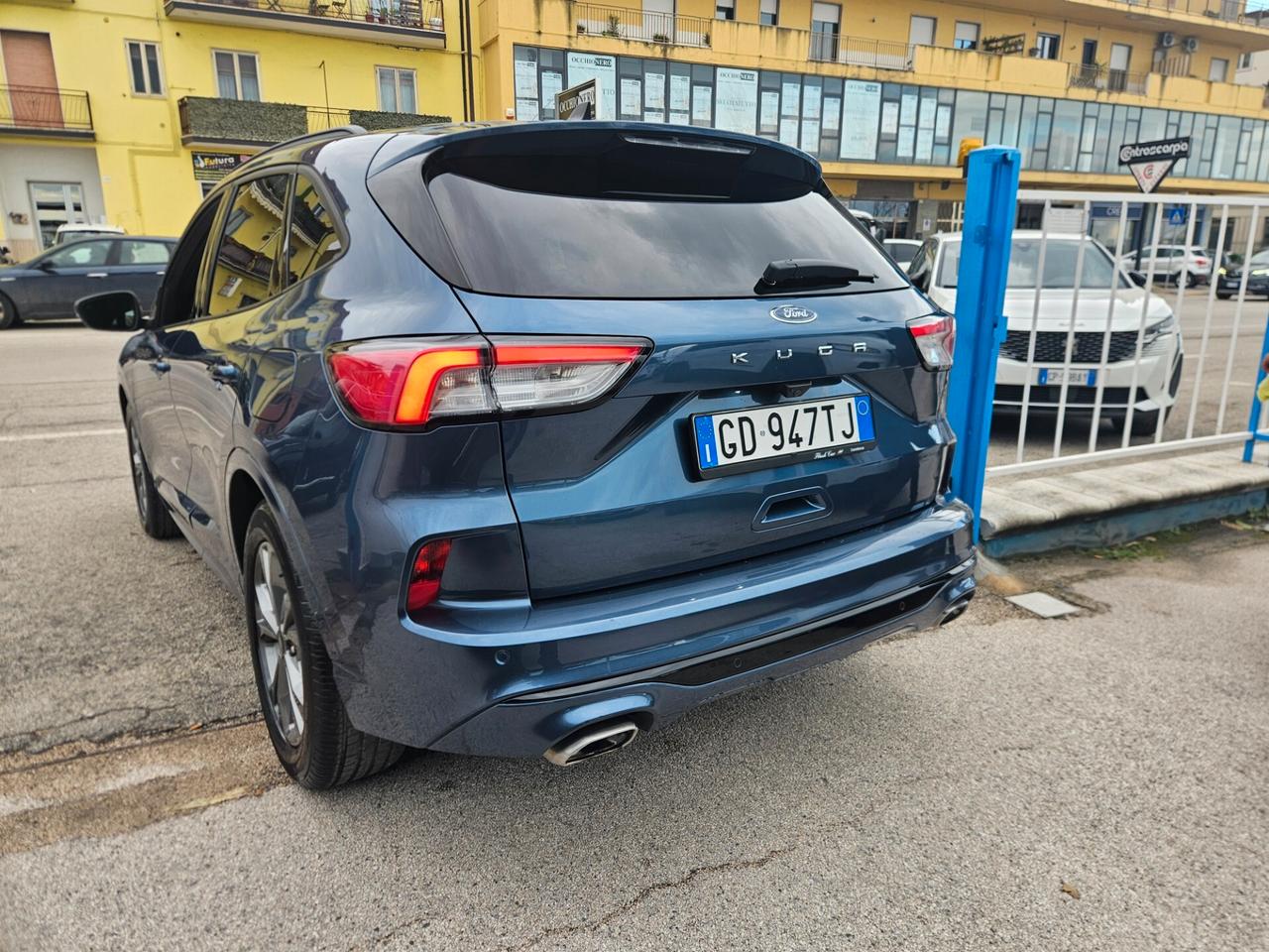 Ford Kuga 1.5 EcoBlue 120 CV 2WD ST-Line X