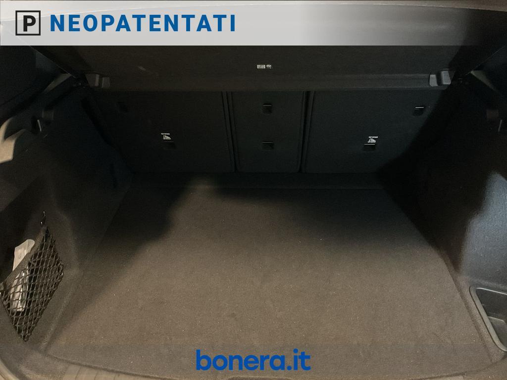 BMW Serie 2 Active Tourer 218 i DCT