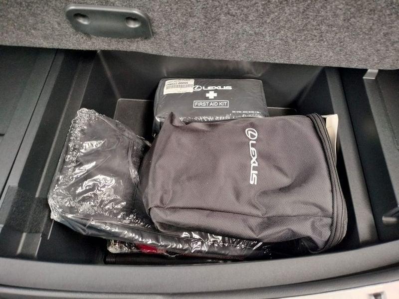 Lexus NX NX Hybrid 4WD Business