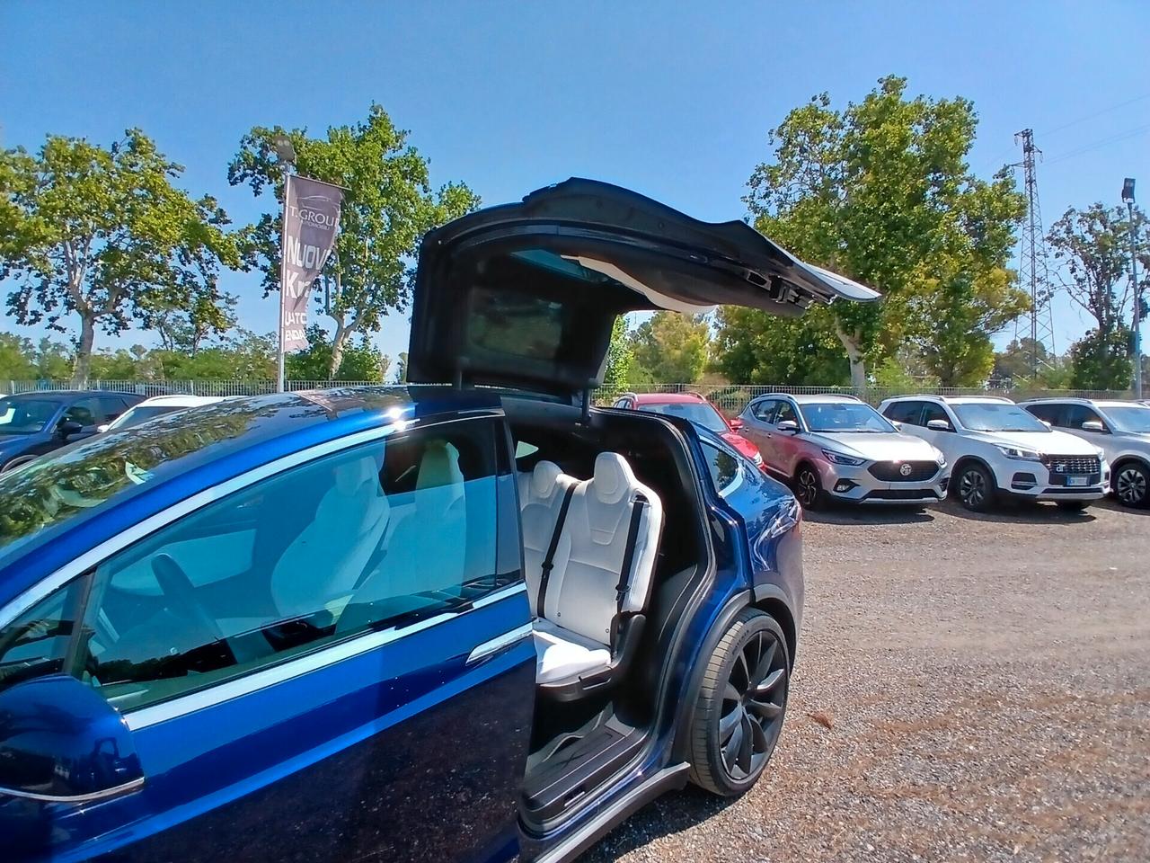 Tesla Model X Model X 100kWh Dual Motor