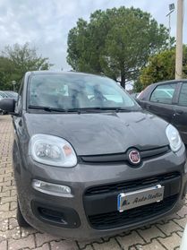 FIAT PANDA 1.0 FireFly 70CV S&S HYBRID 2022