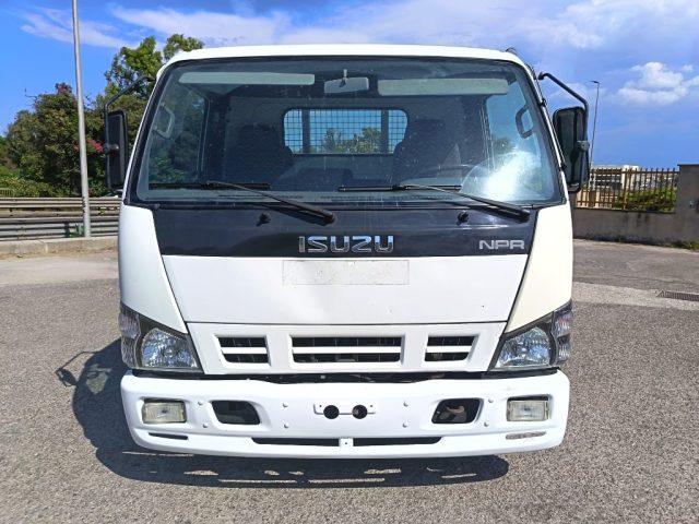 ISUZU NKR 77AE 3.0 TDI PC-RG Cabinato