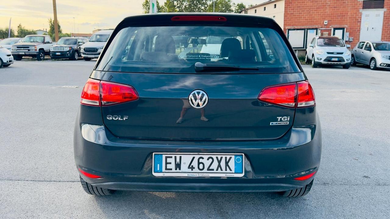 Volkswagen Golf Business 1.4 TGI 5p. Highline BlueMotion