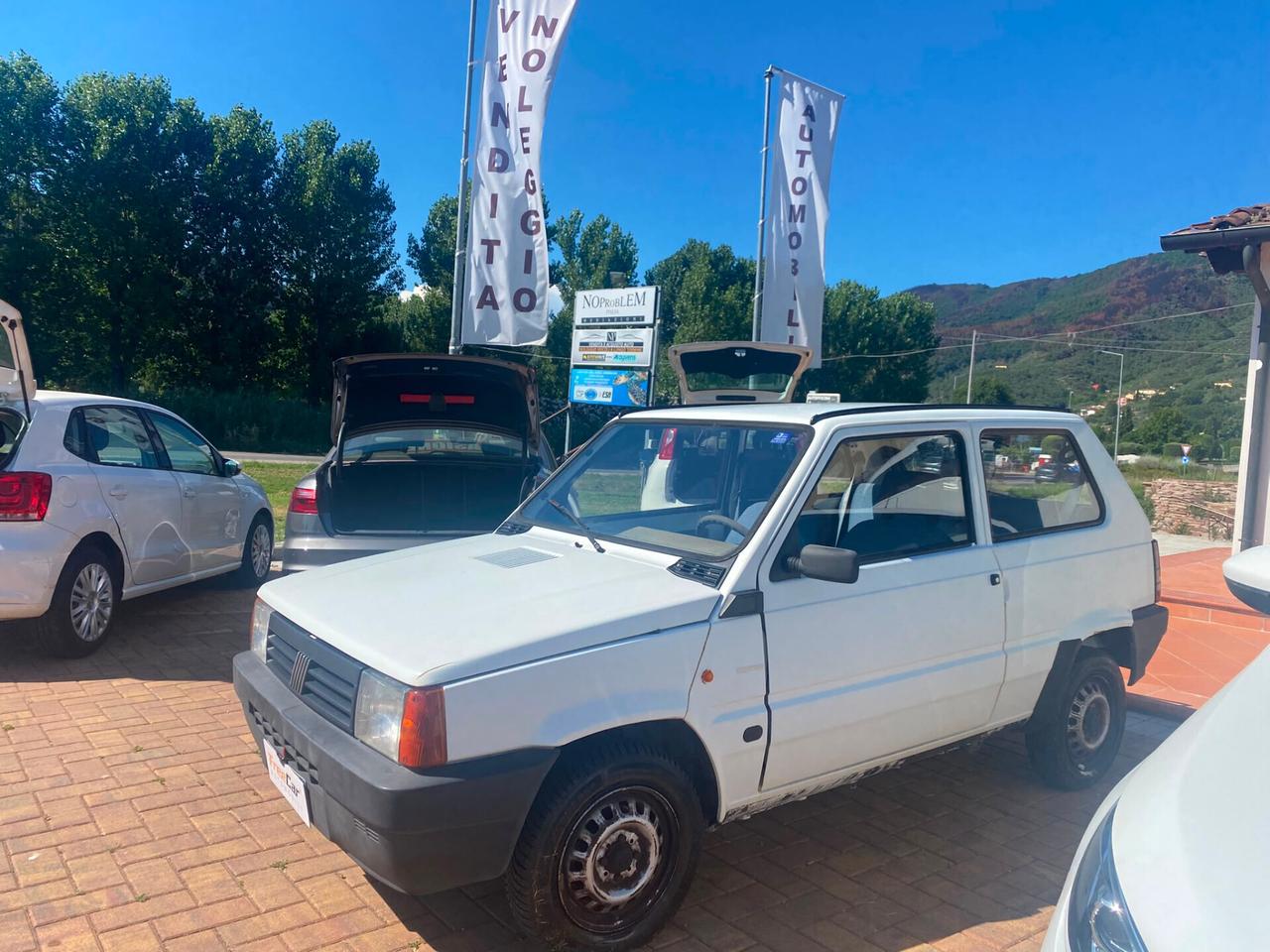 Fiat Panda 1100 i.e. cat Young