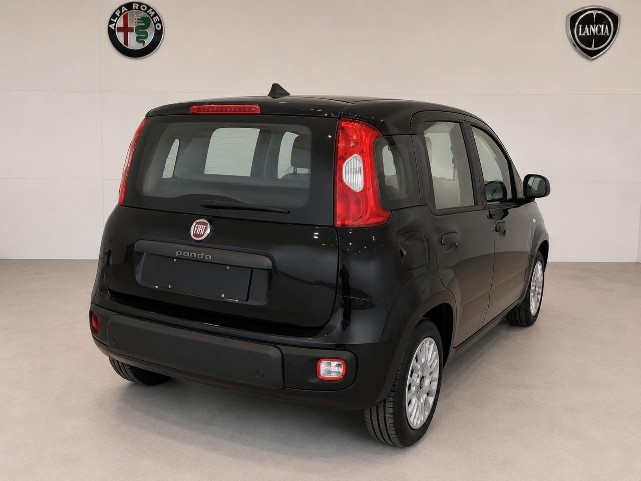 FIAT Pandina III 2024 - Pandina 1.0 firefly hybrid Icon s&s 65cv 5p.ti