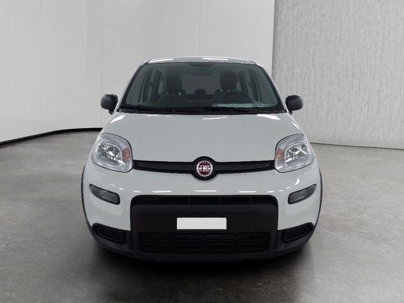 FIAT Panda 1.0 firefly hybrid s&s 70cv 5p.ti