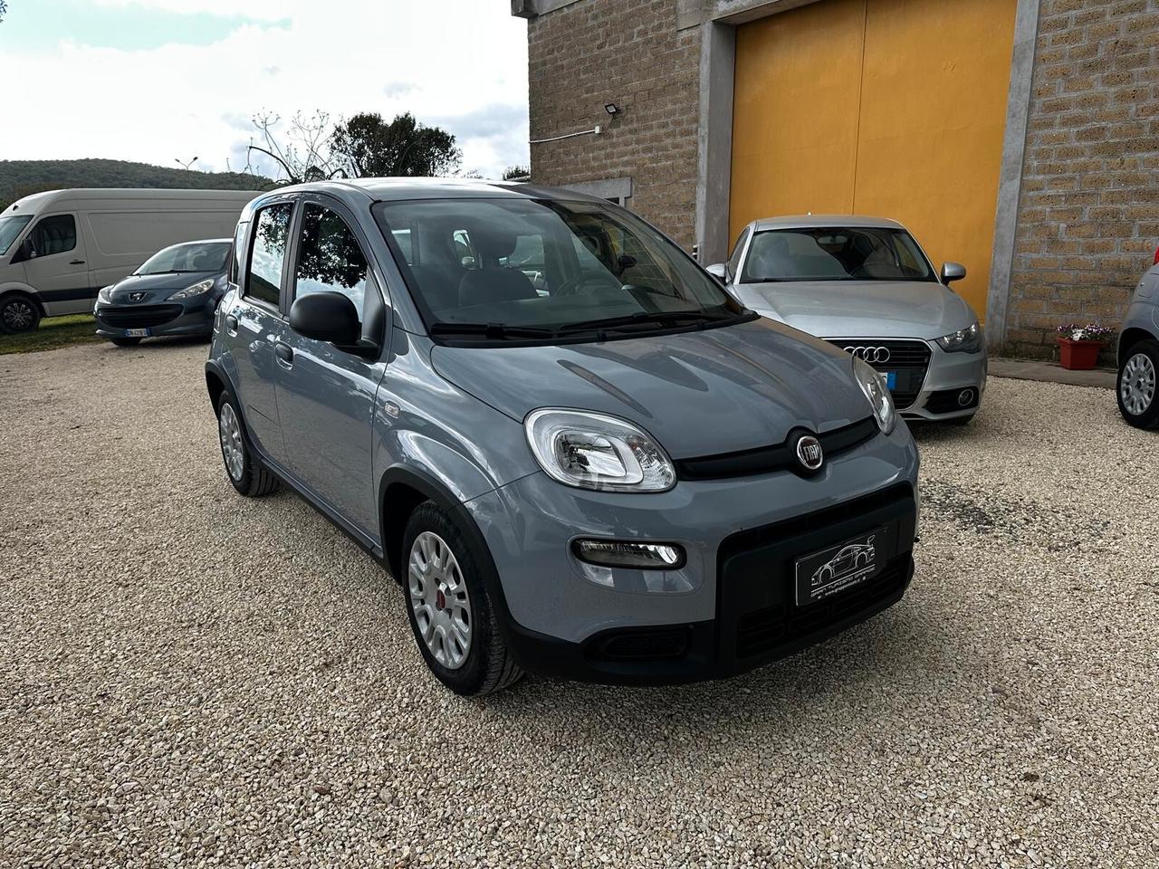FIAT PANDA 1.0 FIREFLY S&S HYBRID PREZZO REALE