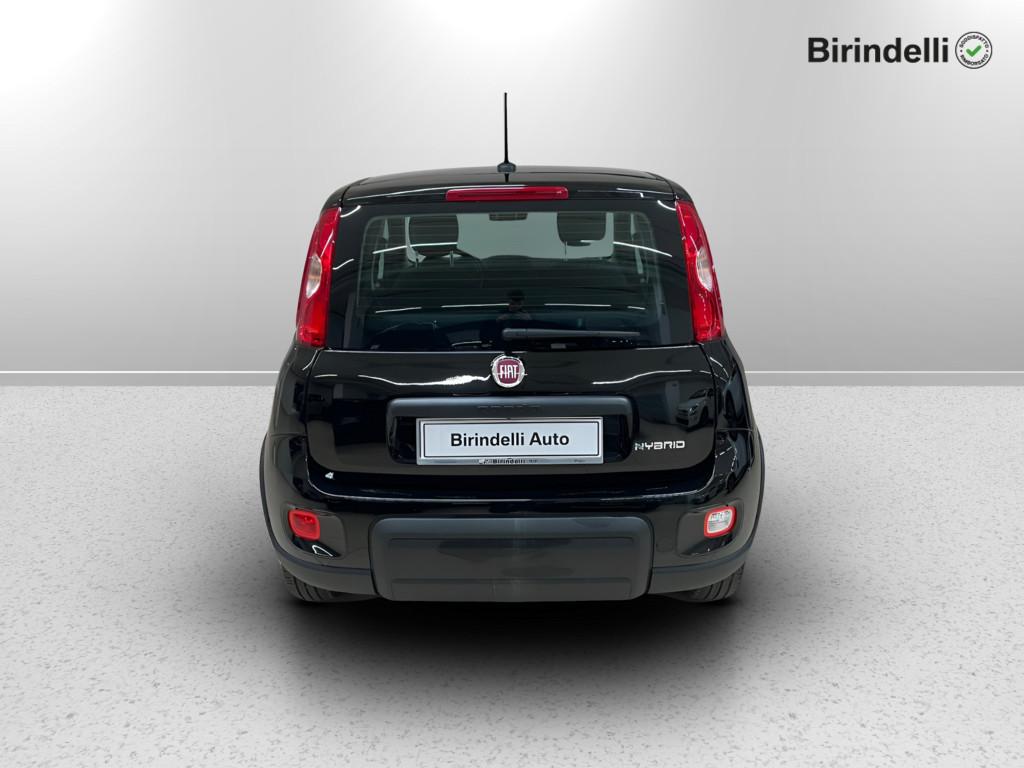 FIAT Panda 3ª serie Panda 1.0 FireFly S&S Hybrid