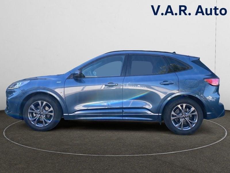 Ford Kuga 1.5 EcoBlue 120CV 2WD Connect Auto