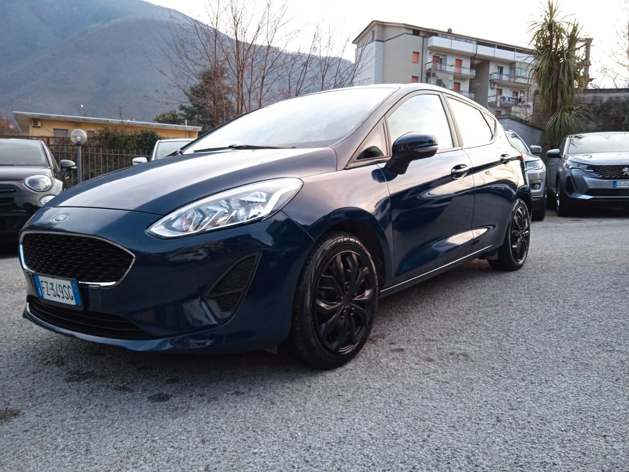 Ford Fiesta 1.1 75 CV GPL 5 porte Business