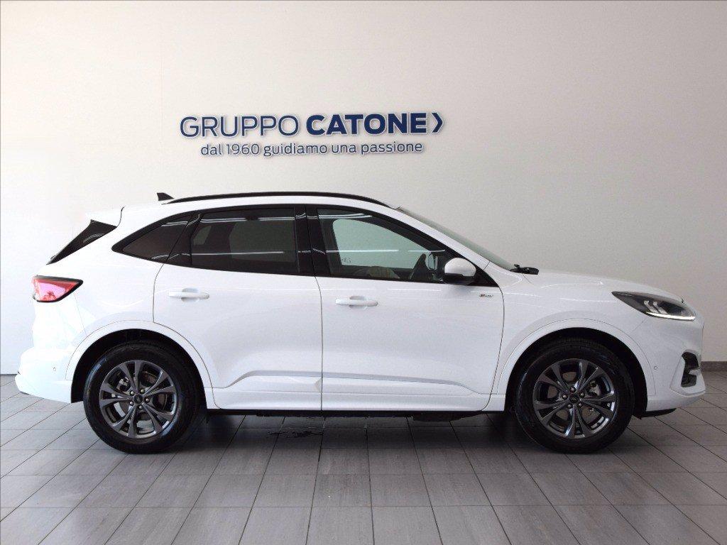 FORD Kuga 2.5 phev ST-Line 2wd 243cv auto del 2024