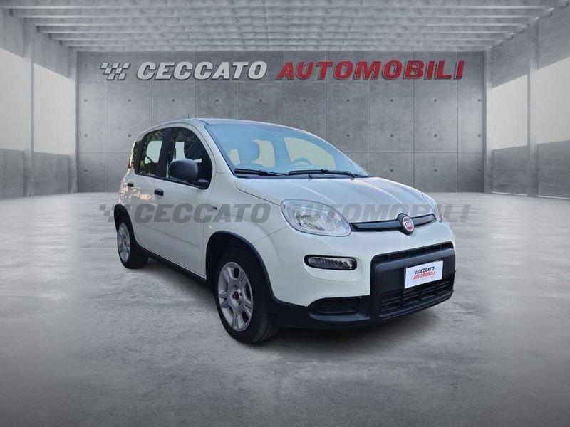 FIAT Panda Panda 1.0 firefly hybrid s&s 70cv