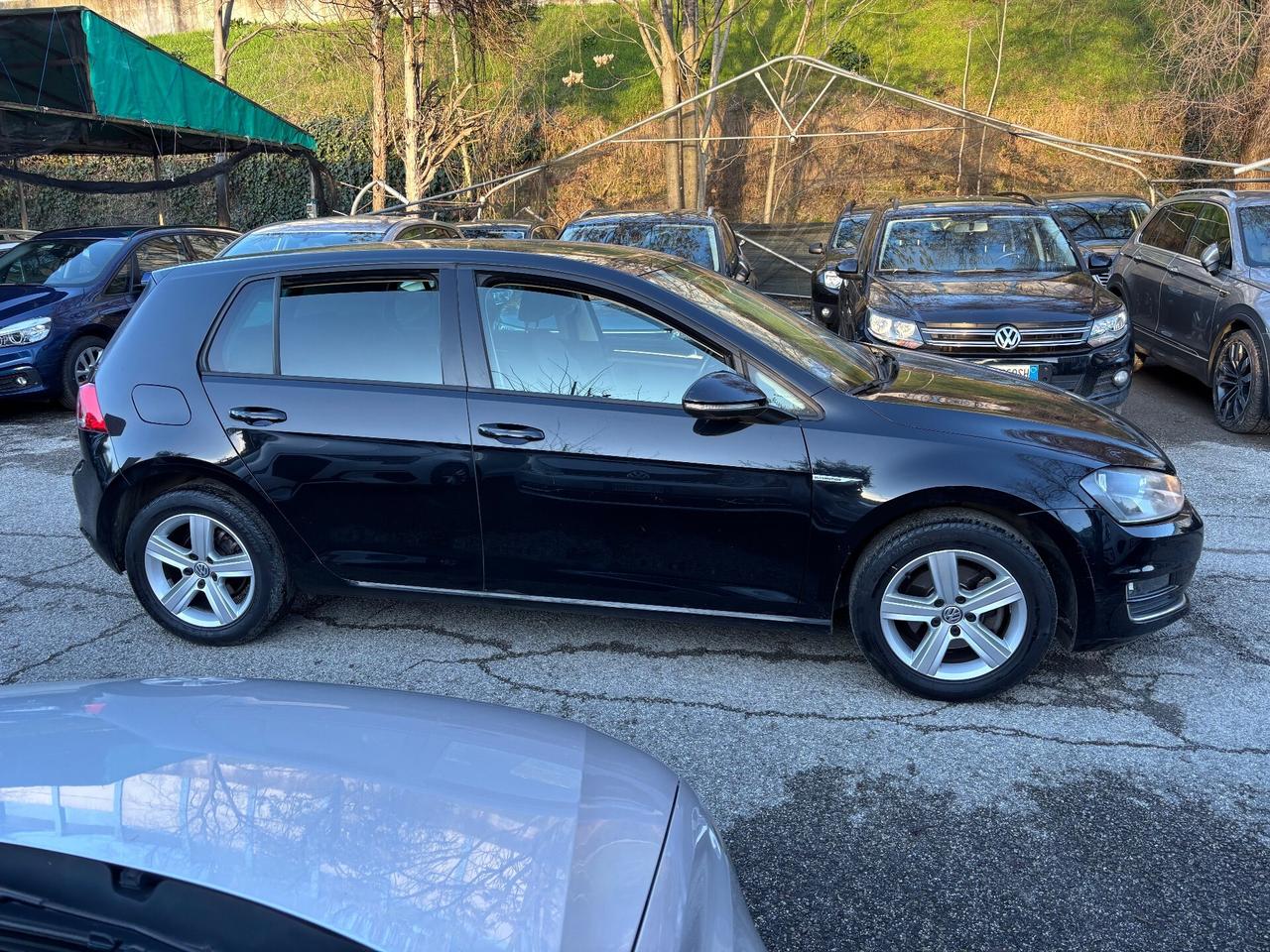 Volkswagen Golf 1.4 TGI 5p. Highline METANO