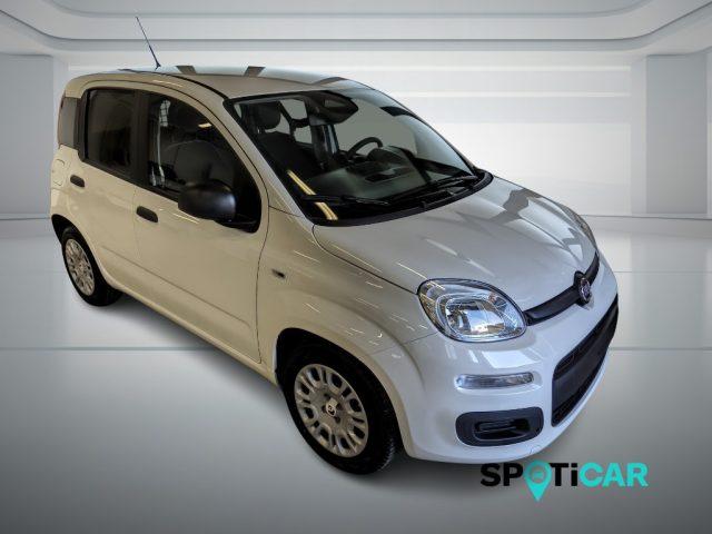 FIAT Panda Pandina Van Pop 1.0 Hybrid 65cv S&S -2 Posti