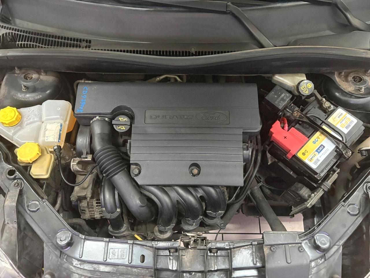 Ford Fusion 1.4 benzina 5 porte Titanium