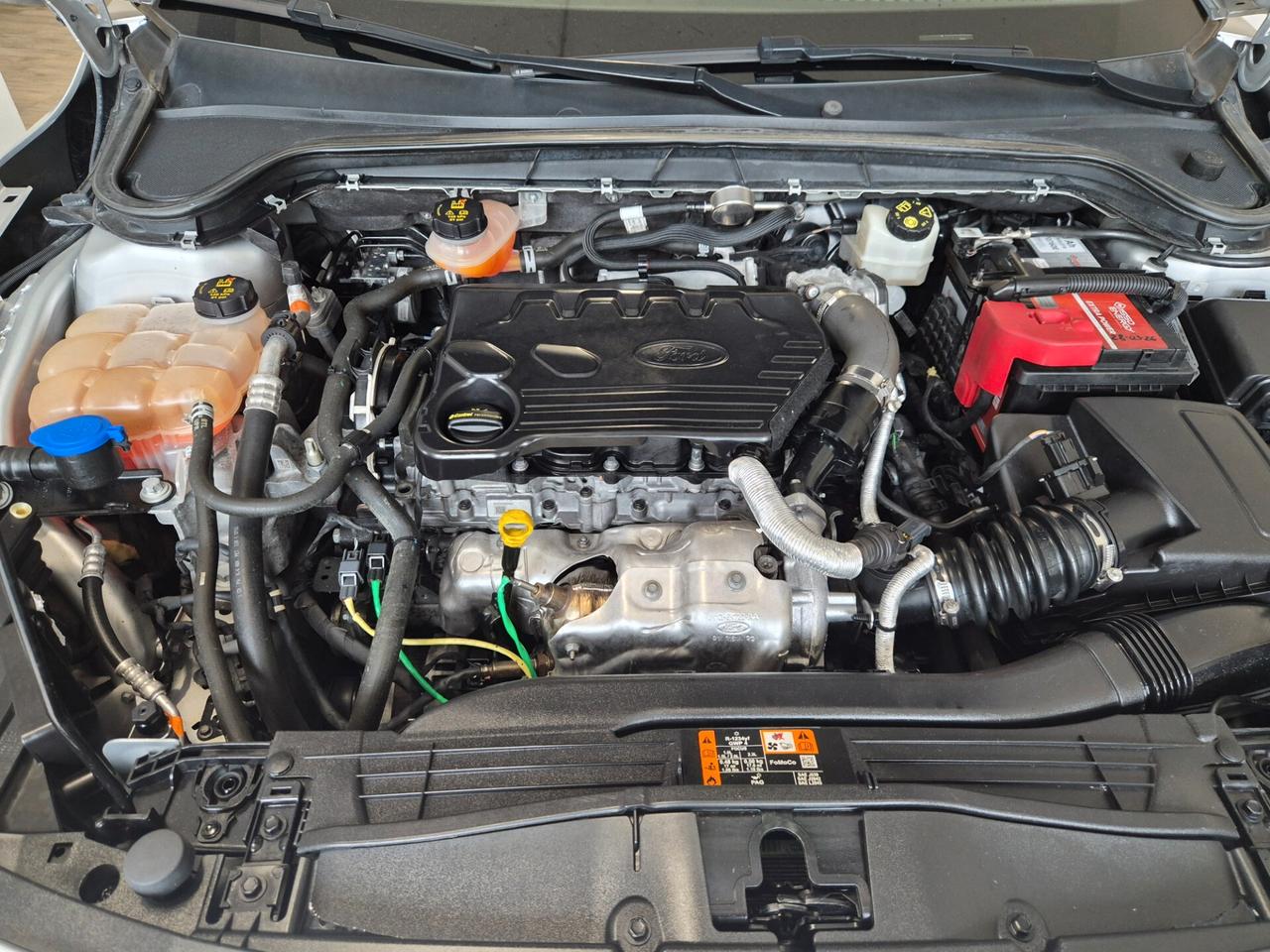 Ford Focus 1.5 EcoBlue 120 CV 5p. Business