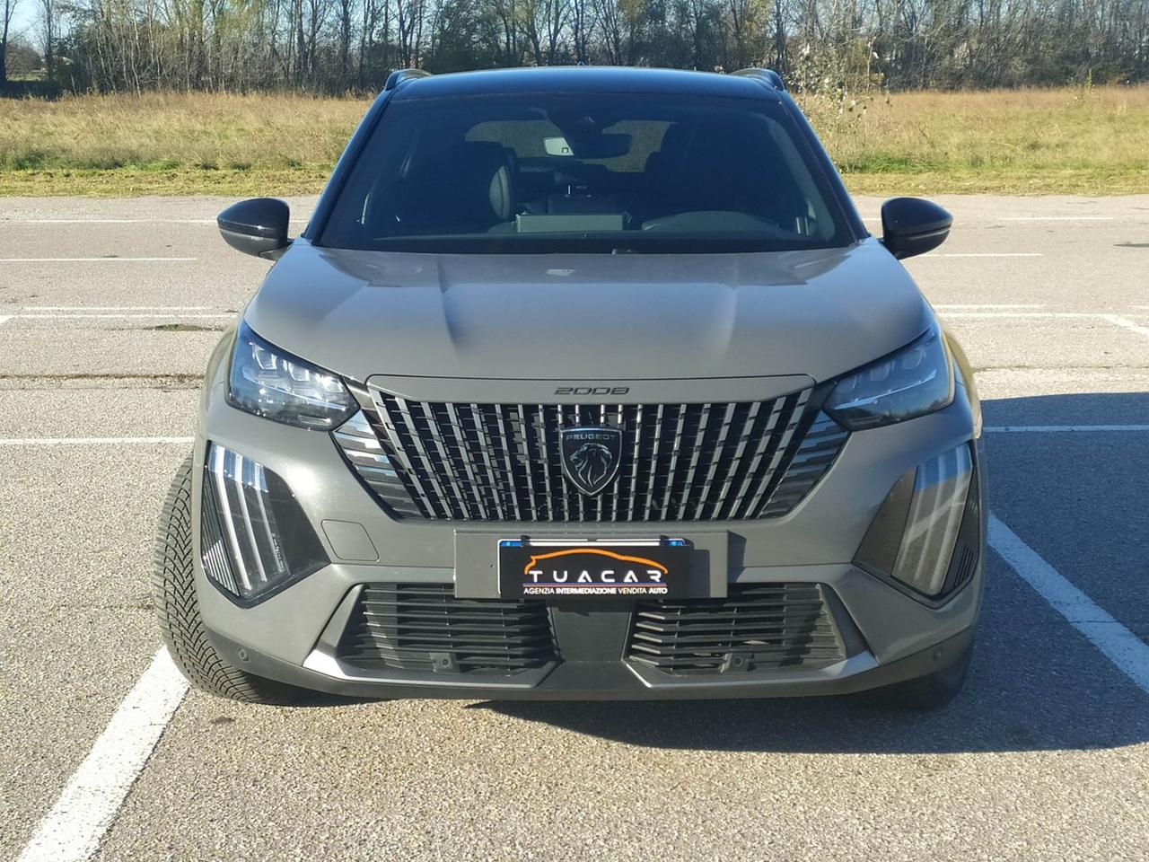 Peugeot 2008 GT e-2008 156 #8105