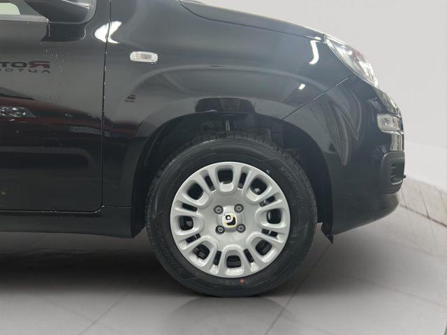 FIAT Panda 1.0 FireFly S&S Hybrid Icon