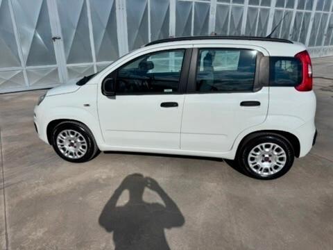 Fiat Panda 1.3 MJT 95 CV 70KW S&S Lounge ANNO 2018