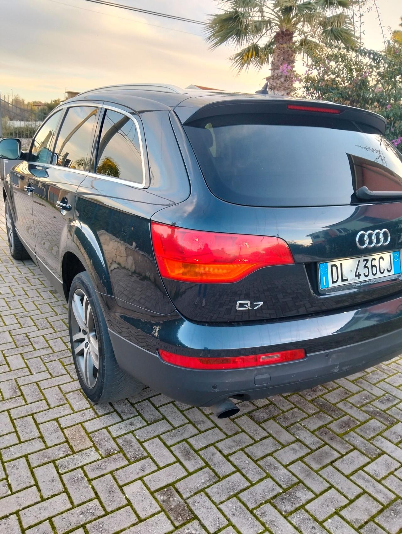 Audi Q7 3.0 V6 TDI 240 CV quattro tiptronic Advanced Plus