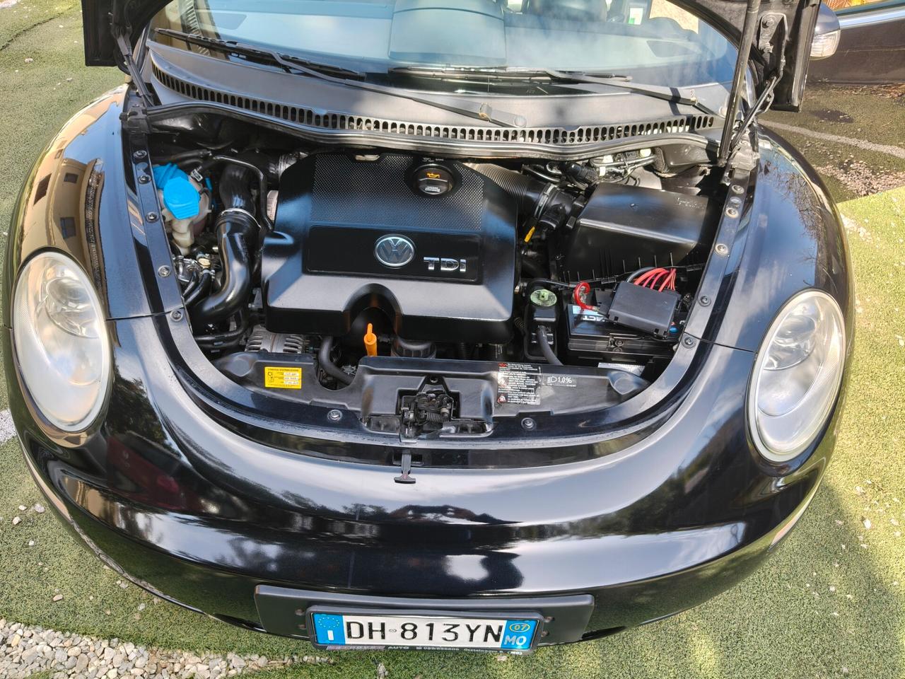 Volkswagen New Beetle 1.9 TDI 105CV Cabrio 2006